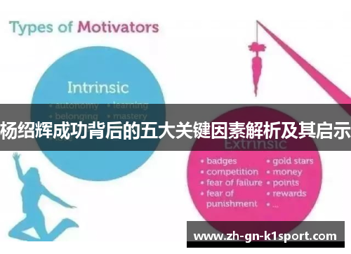 杨绍辉成功背后的五大关键因素解析及其启示